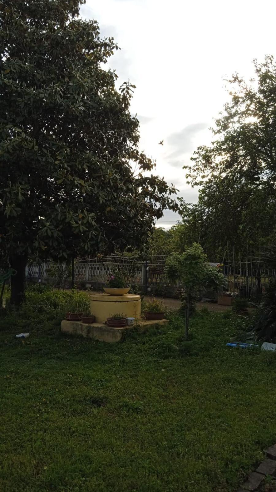 Apartmán Casina Maria Řím Exteriér fotografie