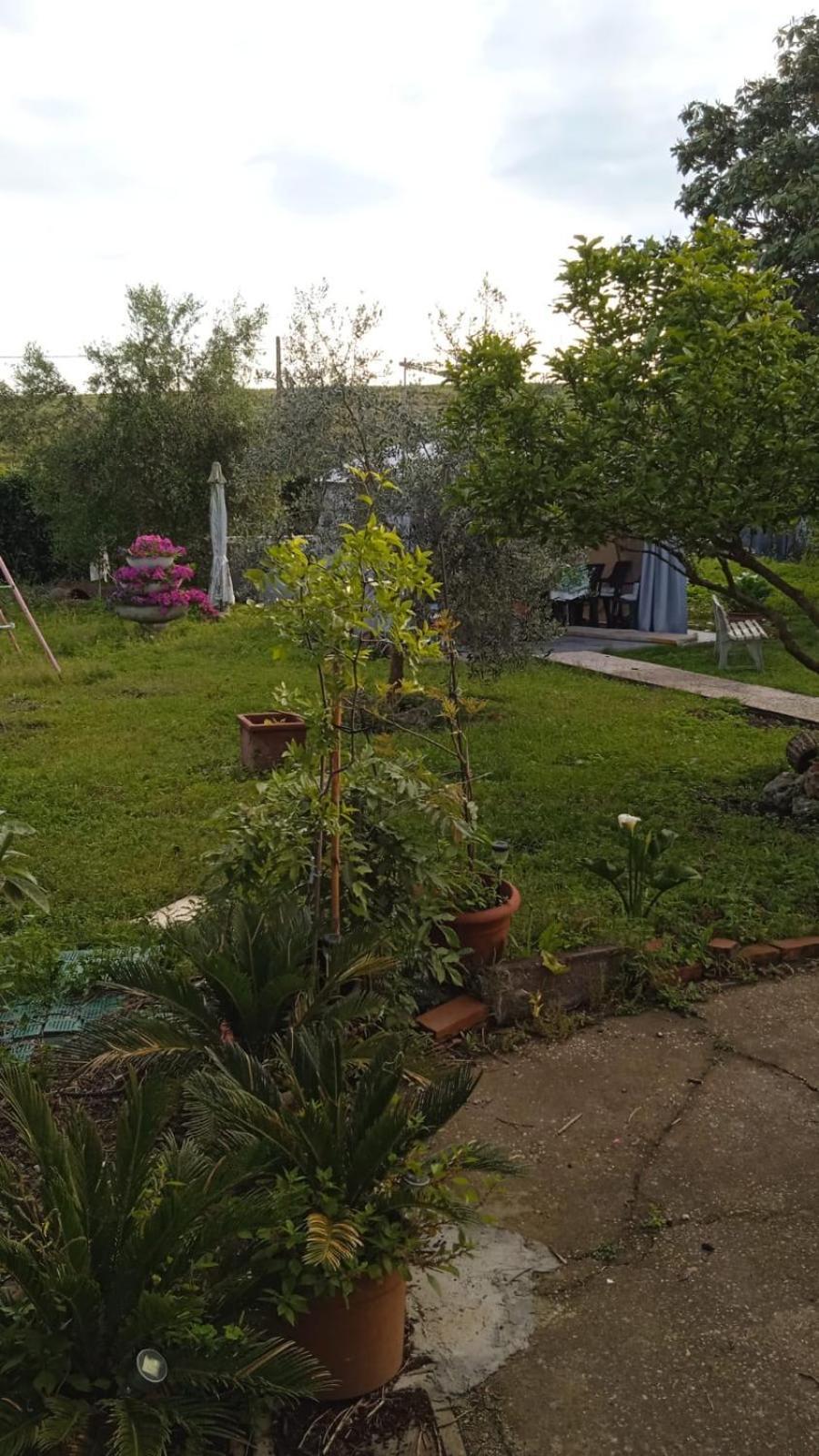 Apartmán Casina Maria Řím Exteriér fotografie